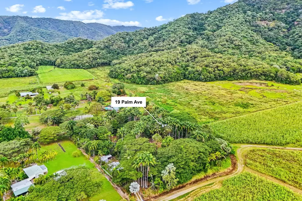 19 Palm Avenue, Mowbray Sold by Queensland Sotheby's International Realty
