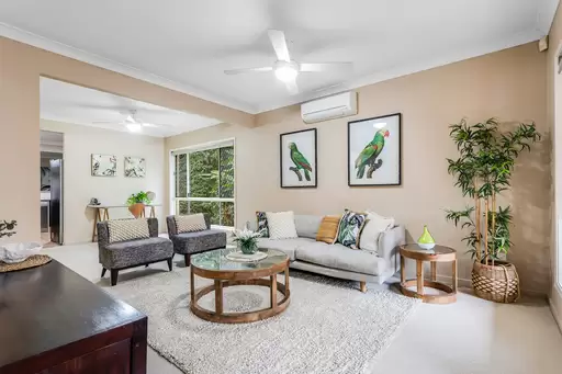6 Firetail Place, Mango Hill Sold by 