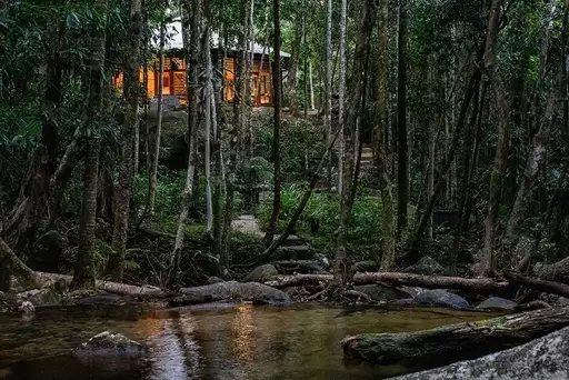 38 Stonewood Road, Cape Tribulation For Sale by Queensland Sotheby's International Realty - image 1