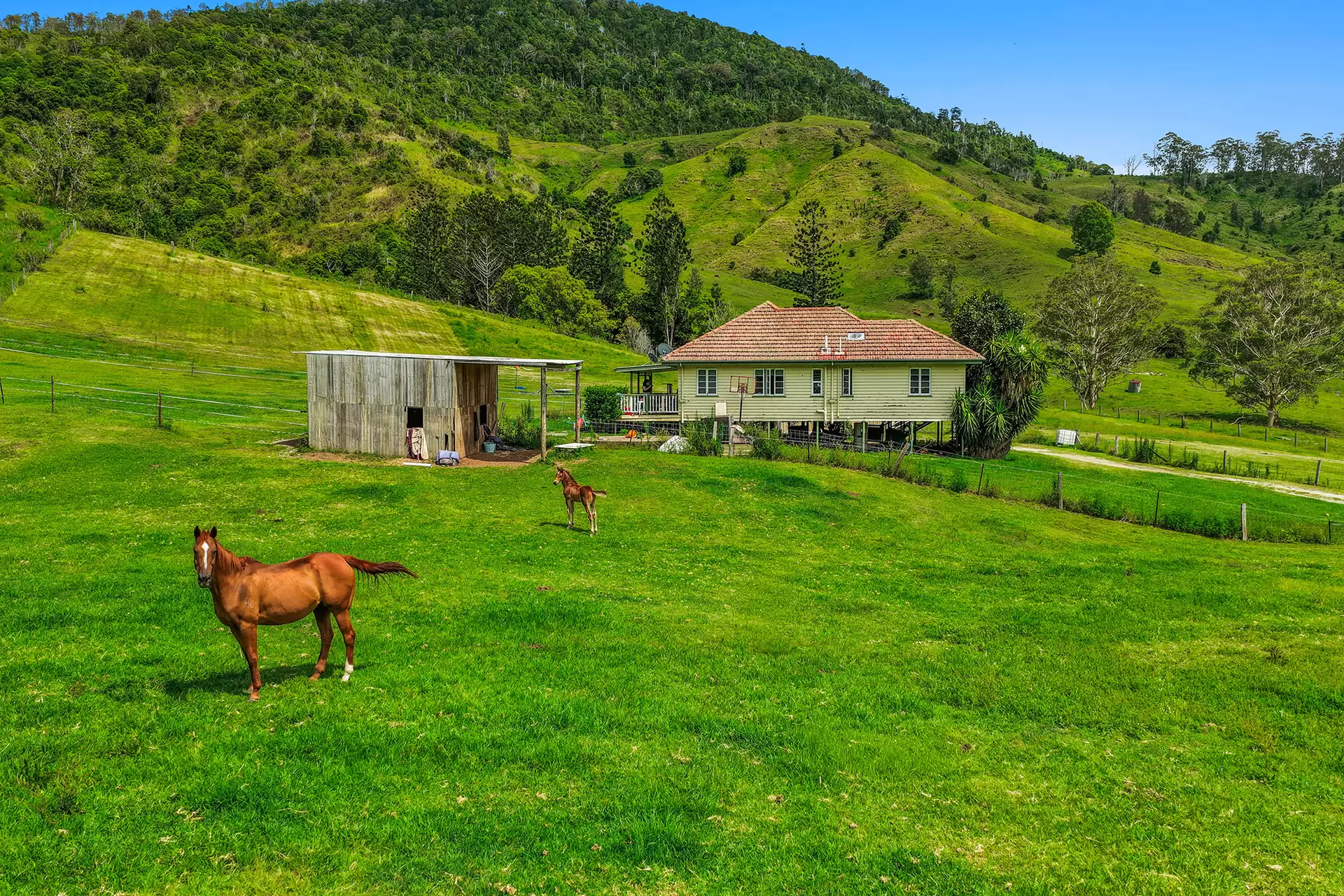 248 Illinbah Road, Illinbah For Sale by Queensland Sotheby's International Realty - image 1