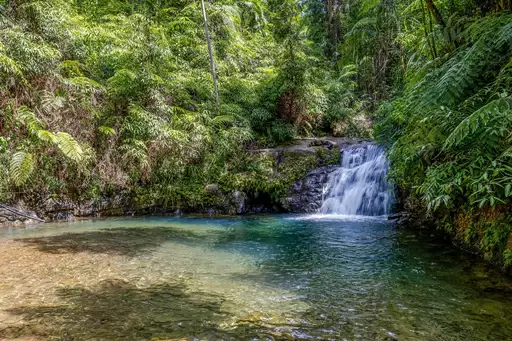 58 Maple Road, Cow Bay For Sale by Queensland Sotheby's International Realty
