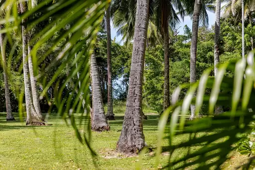3 Marlin Drive, Wonga Beach For Sale by Queensland Sotheby's International Realty - image 1
